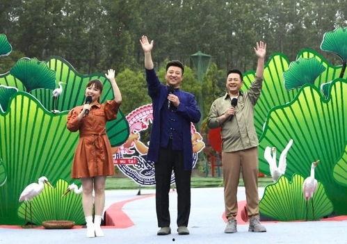 大佛最新爆料新闻事件视频,揭秘事件背后惊人真相